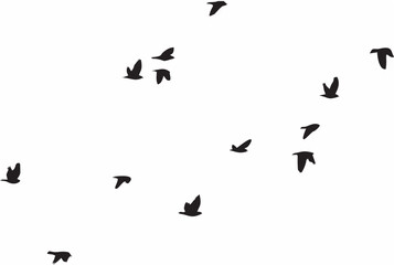 Naklejka premium Pigeons Flying Silhouettes.eps