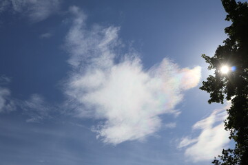 Sun shining through tree branches with iridescent clouds in blue sky