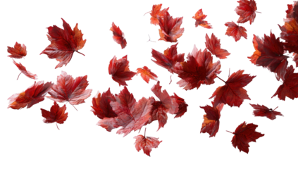 Falling autumn leaves against a black background