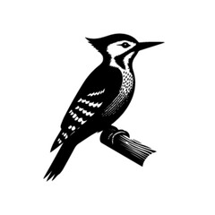 Woodpecker Vector Art | Colorful Forest Bird Illustration
