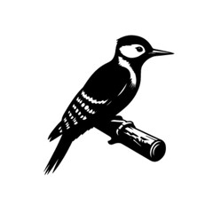 Woodpecker Bird Vector Illustration | Colorful Woodpecker Clipart Design