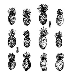 Pineapple fruit set hand drawn line art sketch vector illustration isolated