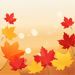 Obraz premium red and yellow maple leaves with soft focus light and bokeh background