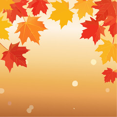 Obraz premium red and yellow maple leaves with soft focus light and bokeh background