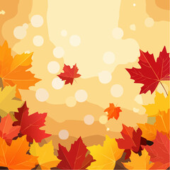 Obraz premium red and yellow maple leaves with soft focus light and bokeh background