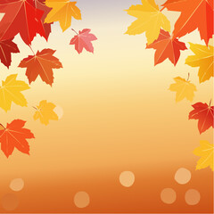 Obraz premium red and yellow maple leaves with soft focus light and bokeh background