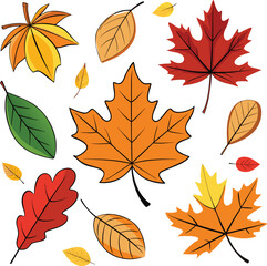 A seamless pattern collection of colorful autumn leaves, featuring maple, oak, and other fall foliage vectors in a vibrant botanical set