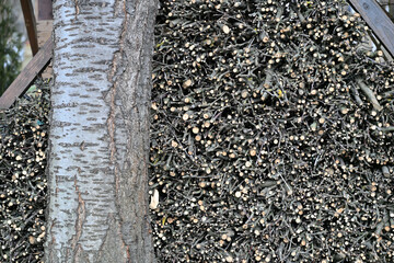 Drying wood in stands from iron for winter heating