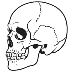 A detailed side profile of a human skull is presented in a striking pixel art style.