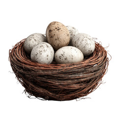 Obraz premium Close-Up View of Natural Bird Nest with Different Sized Spotted Eggs Resting Comfortably Inside