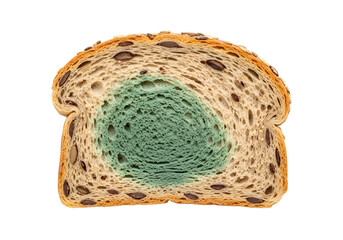 Obraz premium A slice of whole grain bread displays a noticeable patch of mold, showcasing the texture and discoloration of the affected area against the healthy surrounding bread.
