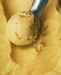 scope of ice cream 