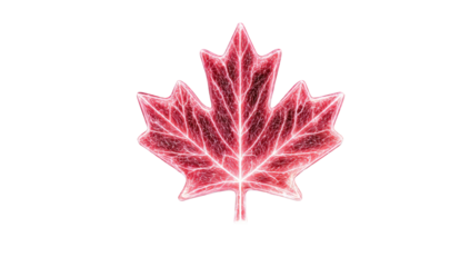 A vibrant red maple leaf