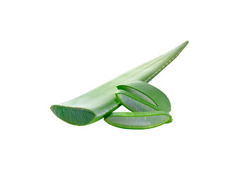 cut aloe vera leaf with gel inside isolated