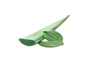 cut aloe vera leaf with gel inside isolated