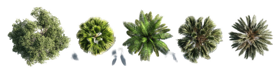 Obraz premium Aerial views of clustered trees