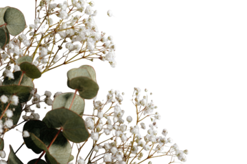 Close-up bouquet of eucalyptus and small white flowers