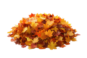 Autumn leaves piled high (2)