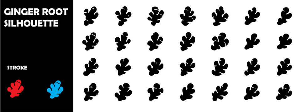 Ginger Root Silhouette Vector Icons &ndash; Herbal Plant, Cooking, Natural Medicine Graphics