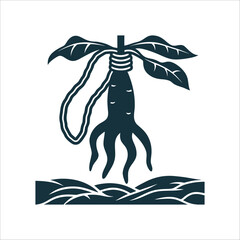 Stylized Mandrake Root with Cord Illustration Mandrake Root A humanoid shaped root with tied cord around its stem