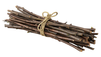 Bundle of twigs tied with string