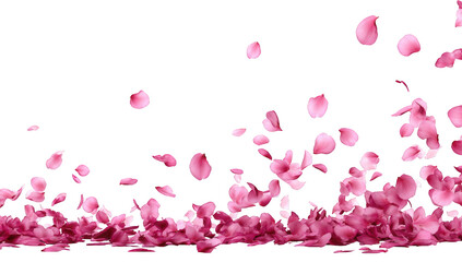 Pink flower petals falling
