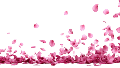 Pink flower petals falling