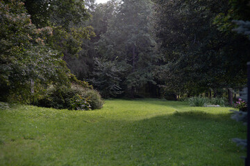 three hundred year old park with bench, green meadow, meadow, grass
