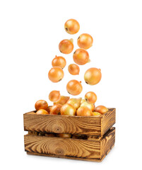 Onion isolated on white background. onion slice. onion rings. Fresh Yellow Onion. Natural, fresh, vegetarian food. Agricultural products. Healthy eating. Vegetables. Farmer's market.