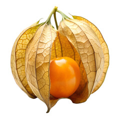 A ripe physalis fruit, also known as goldenberry or cape gooseberry, enclosed in its papery husk, isolated on a transparent background