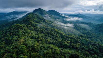 Naklejka premium Lush green mountains with misty clouds at dawn