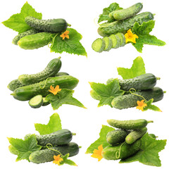 Set of cucumbers and leaves isolated