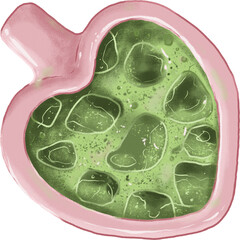Matcha Lover Cute Clipart