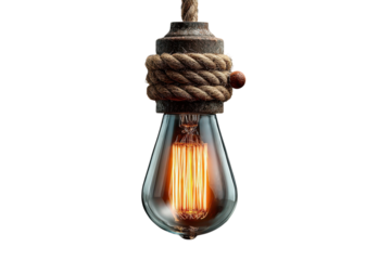 Vintage edison light bulb with rope detail against a on transparent background