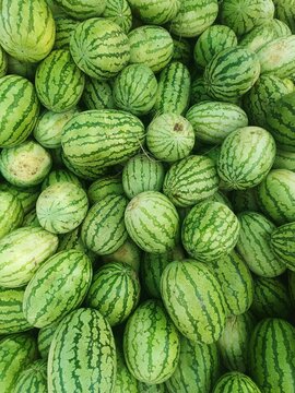 Several large sweet green watermelons. several large sweet green watermelons are placed on a wooden table on a natural background for sale.