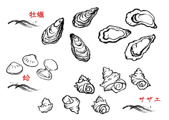 貝類セット　線画