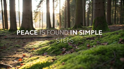 Tranquil forest path with mossy ground and sunlight filtering through trees