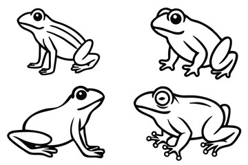 vector illustration of a frog