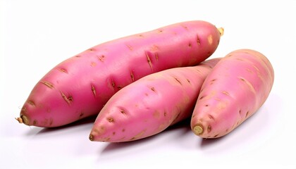 畑から採れたてのたくさんのサツマイモ