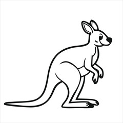 kangaroo vector illustration