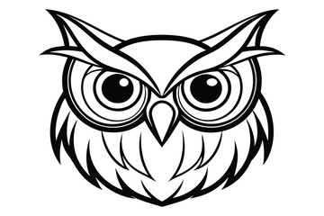 owl on white background