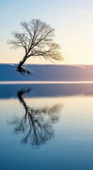Serene winter landscape featuring a solitary tree reflected in calm water