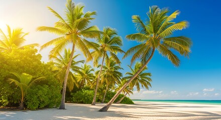 Obraz premium Tropical Beach Paradise with Palm Trees and Turquoise Water.