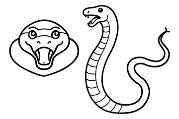 snake vector illustration