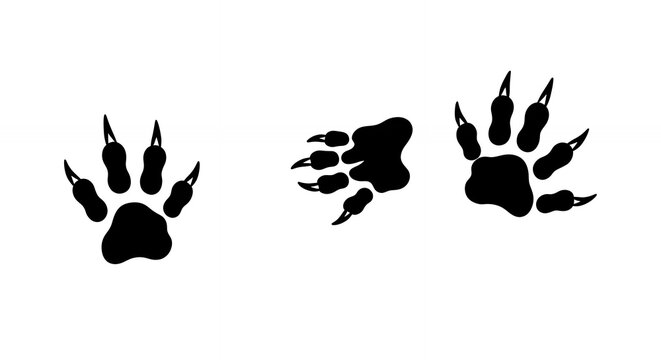 Animal paw prints graphic design wildlife tracking nature theme