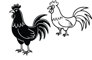 rooster and cock