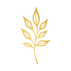 Medical Form/Clipboard - 16