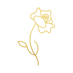 Medical Form/Clipboard - 27