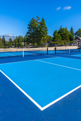 Pickleball courts displaying vibrant blue surface on sunny day