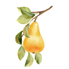 Hand-drawn illustration of a single yellow pear with a green leaves